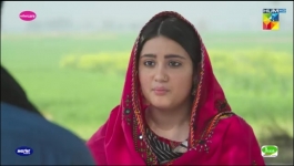 Zard Patton Ka Bunn - Episode 12 - 28th July 2024